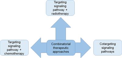 Combinatorial Strategies to Target Molecular and Signaling Pathways to Disarm Cancer Stem Cells